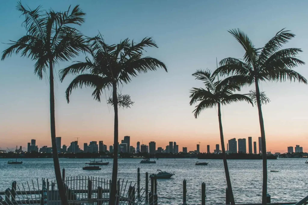 A serene view of Boca Raton harbor at sunset, featuring silhouetted palm trees, boats on the water, and a distant city skyline.