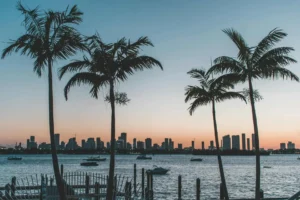 A serene view of Boca Raton harbor at sunset, featuring silhouetted palm trees, boats on the water, and a distant city skyline.