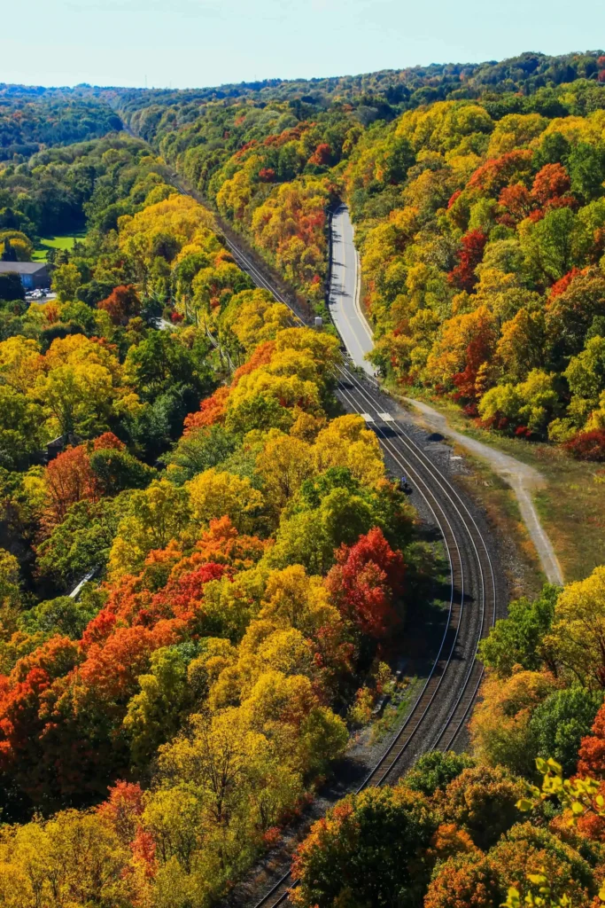 An aerial view of a scenic railway and road winding through a vibrant autumn forest with colorful trees in shades of yellow, orange, and red.